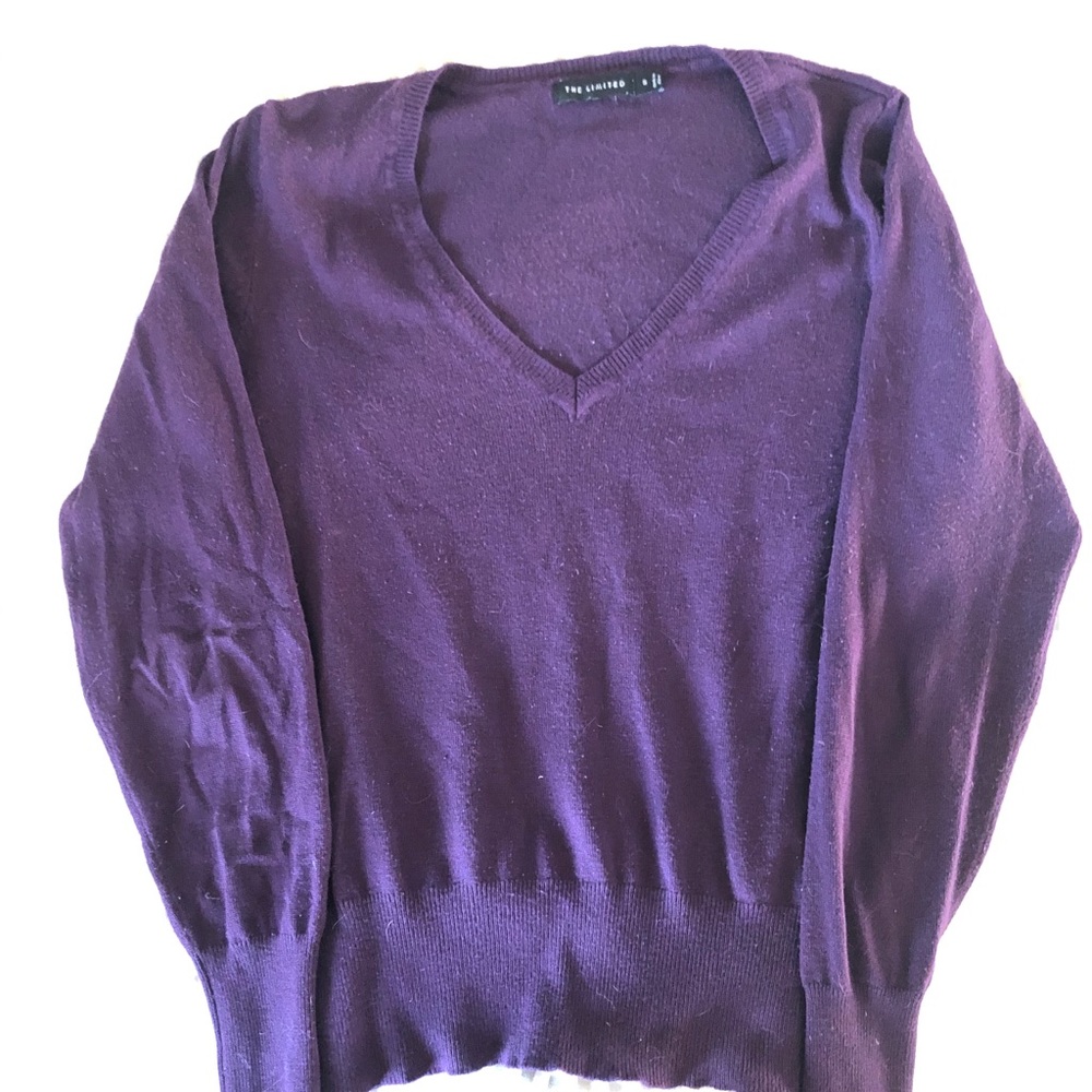 The Limited sweater
